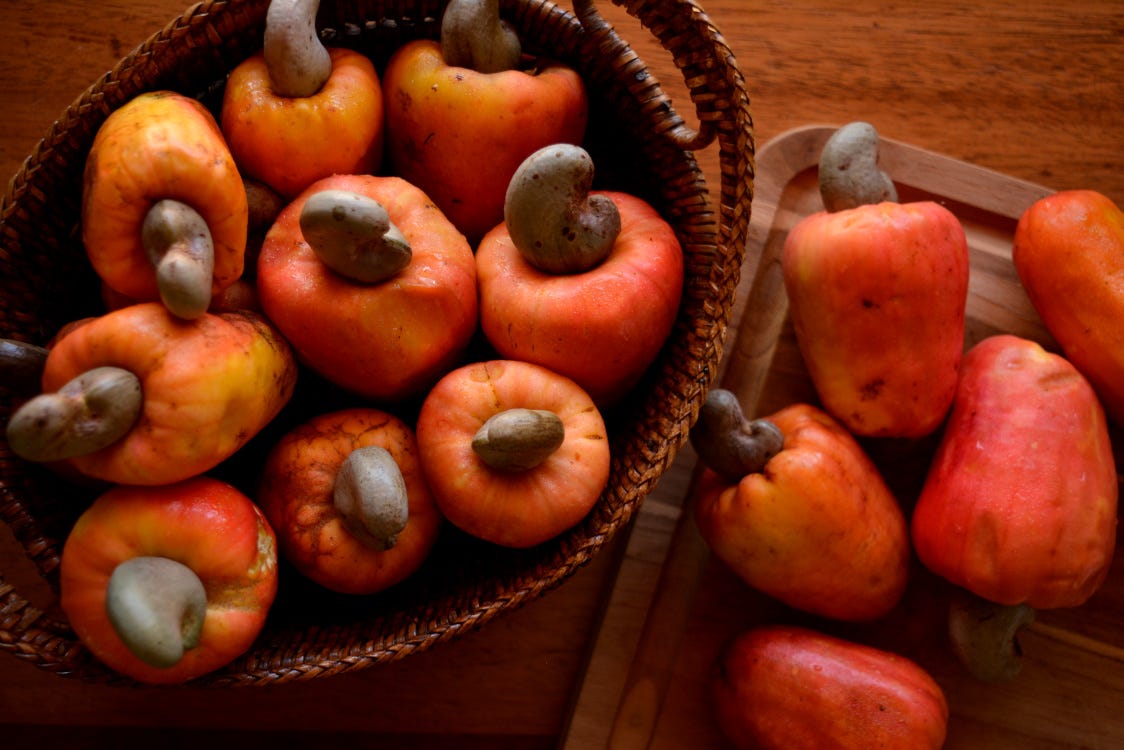 Técnicas criativas com Carne de Caju